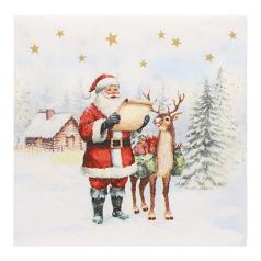 Serviett PAPSTAR 33x33cm Julenisse(20)