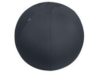 Balanseball LEITZ Ergo 65cm Mørk Grå