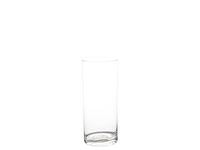 Vase sylinder klart glass 15cm