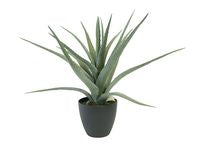 Kunstig plante Aloe vera 56cm