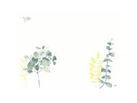 Bordbrikke DUNICEL 30x40cm Spire (100)