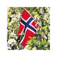 Serviett 17.maiflagg 3L 33x33cm (20)